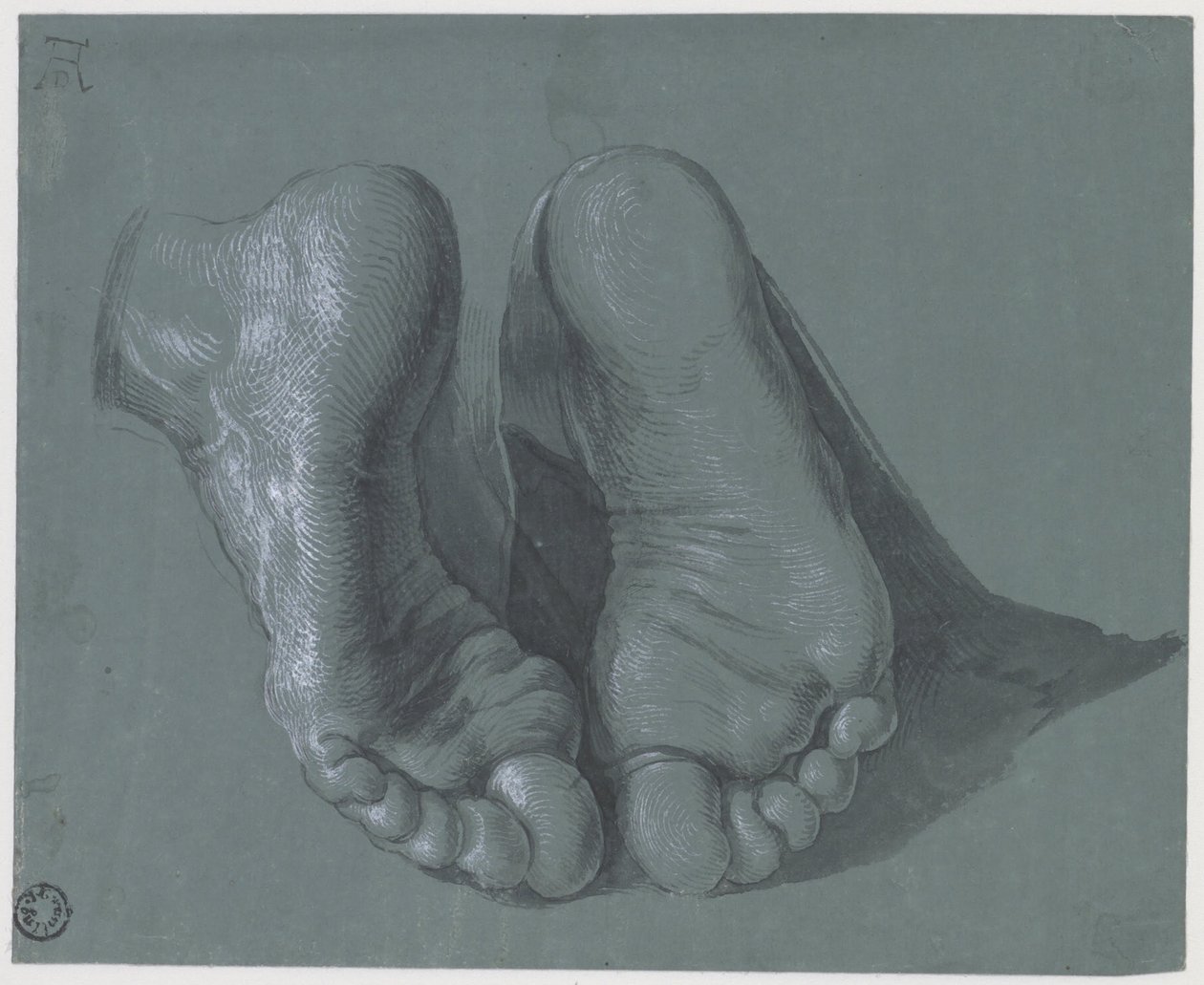 Study of Two Feet by Albrecht Dürer