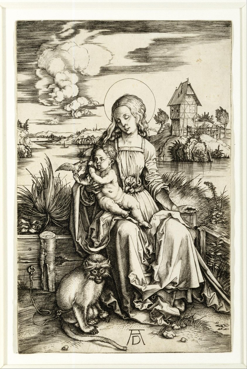Virgin and Child with the Monkey by Albrecht Dürer