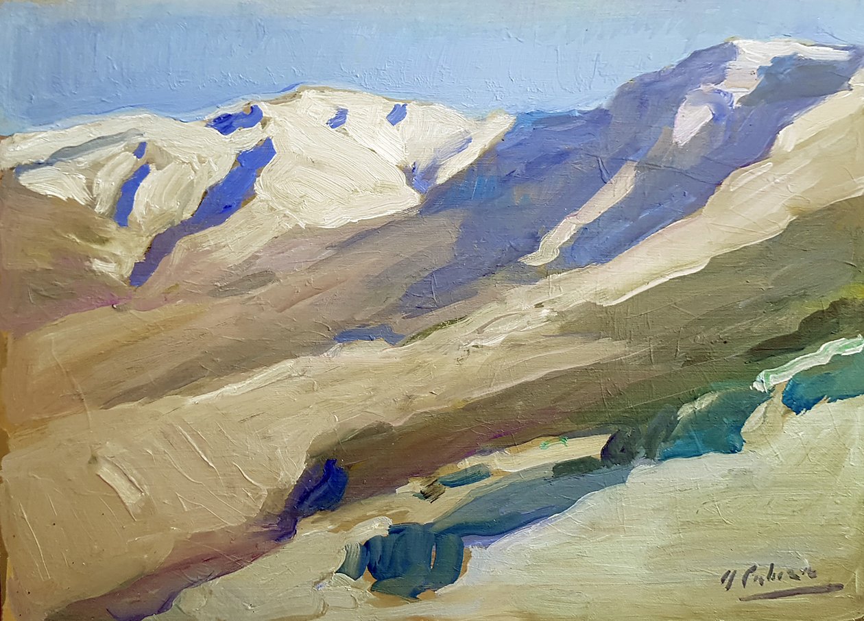Landscape of Pinajarro by Alejandro Cabeza