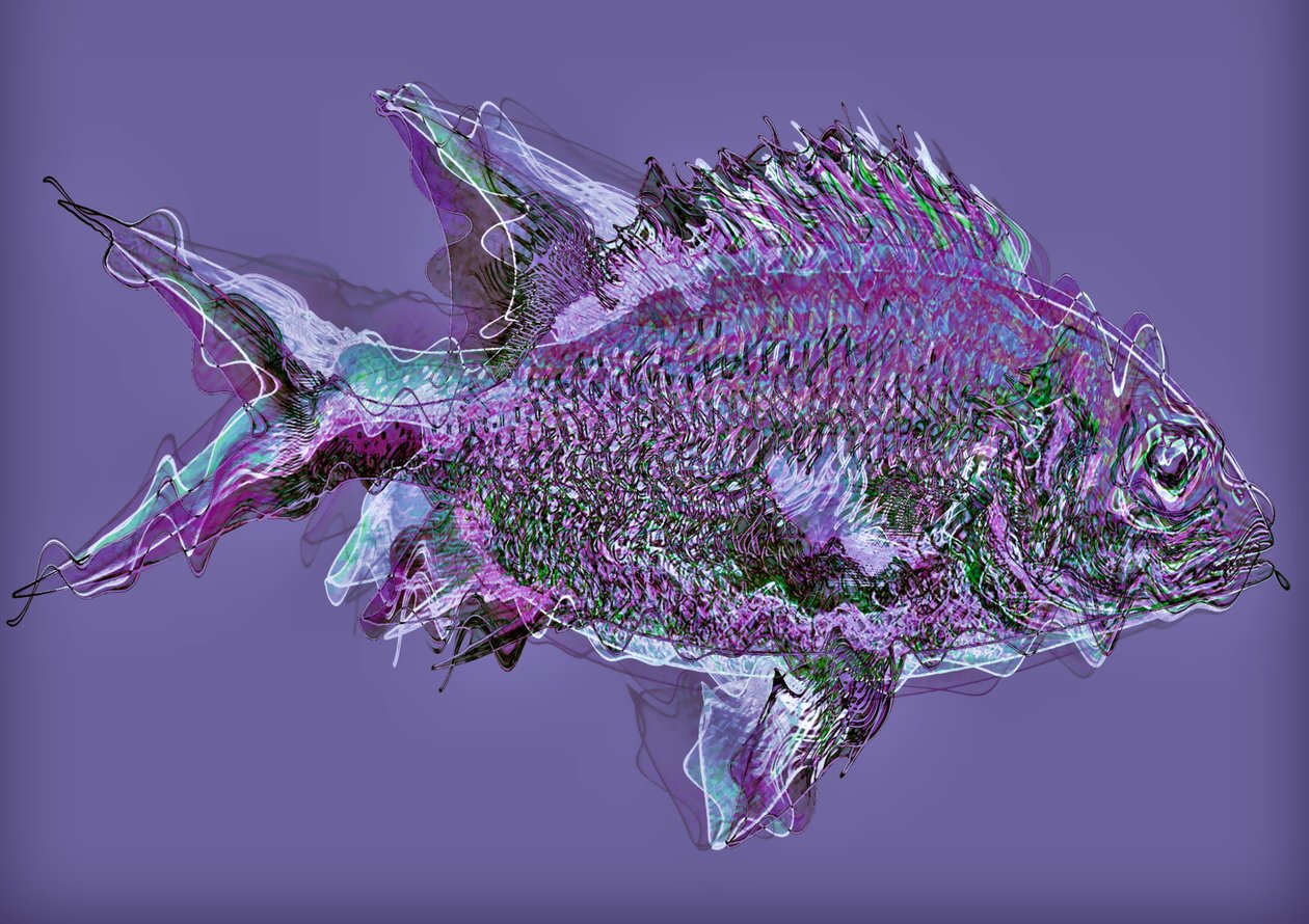 Fish in the water by Alex Caminker