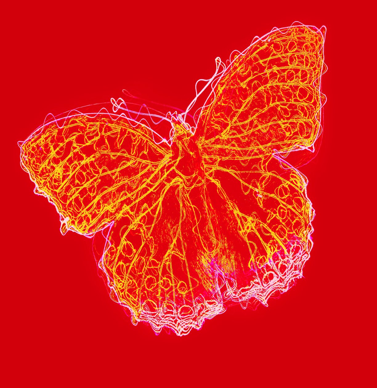 Butterfly III by Alex Caminker