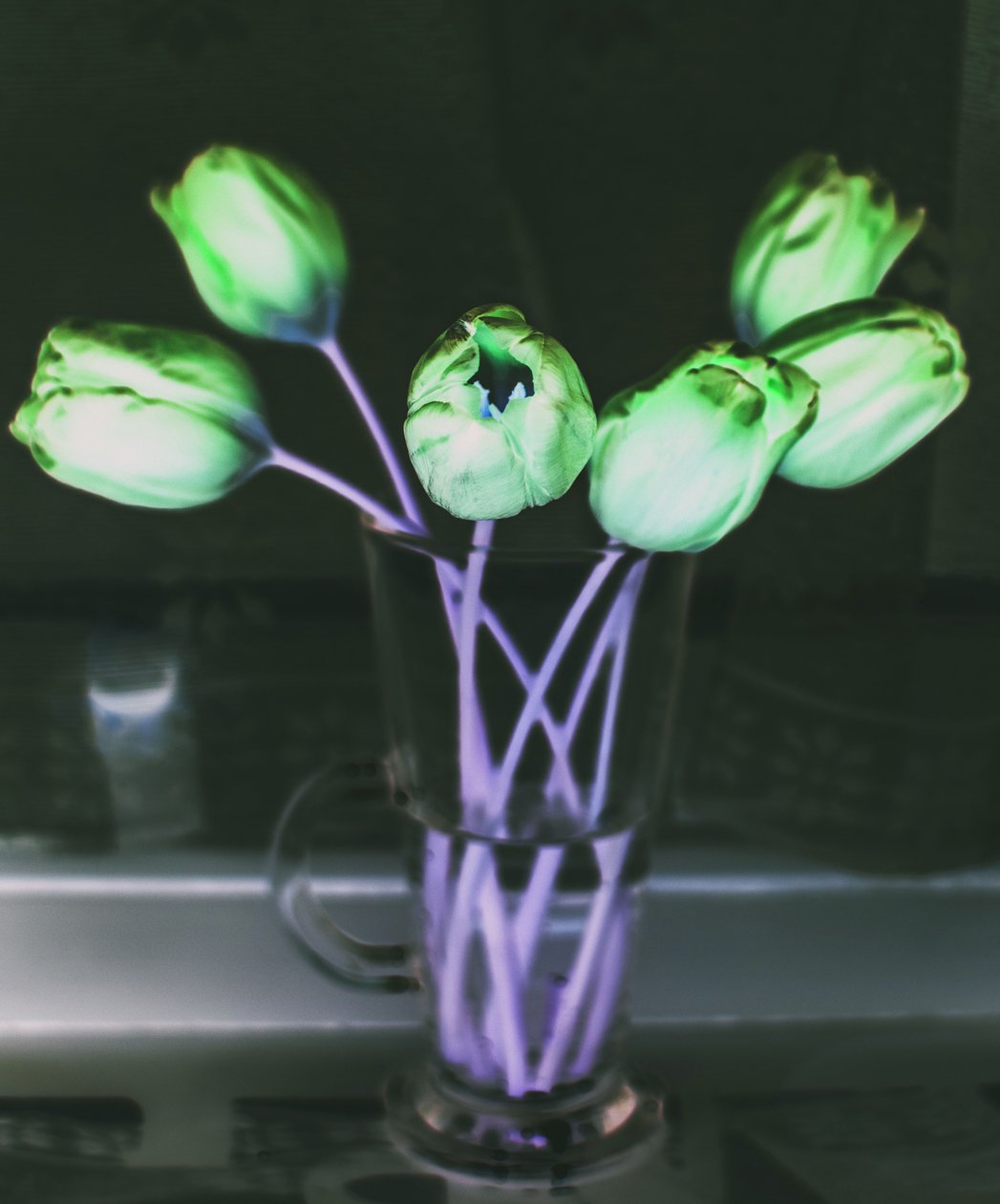 Light Refraction by Alex Caminker