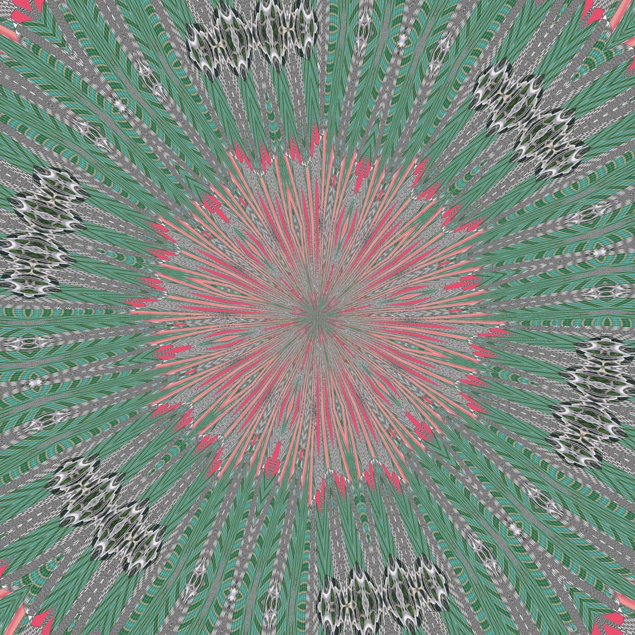 Symmetry #31 by Alex Caminker
