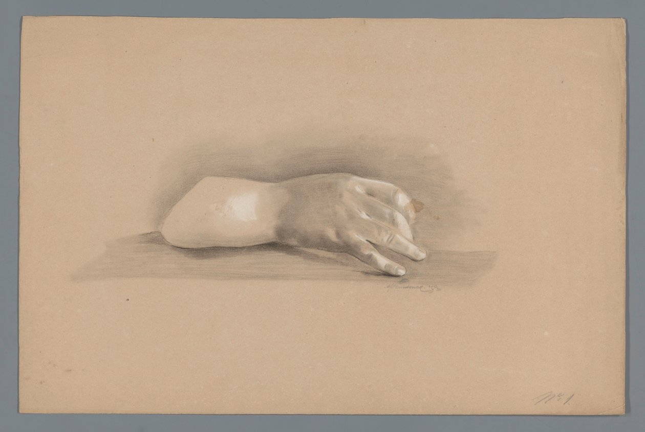Plaster Model of a Hand by Alexander Cranendoncq