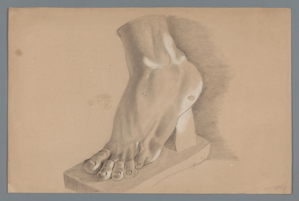 Plaster Model of a Foot by Alexander Cranendoncq
