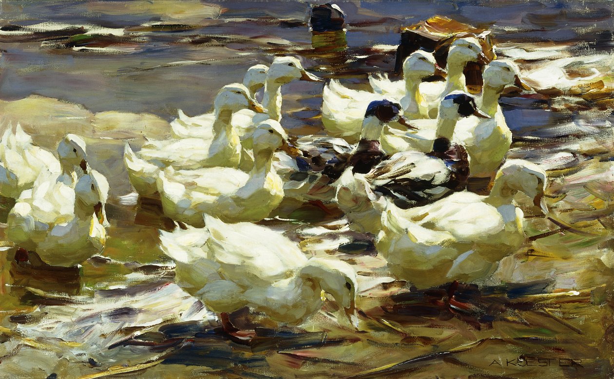 Ducks in the Pond by Alexander Koester