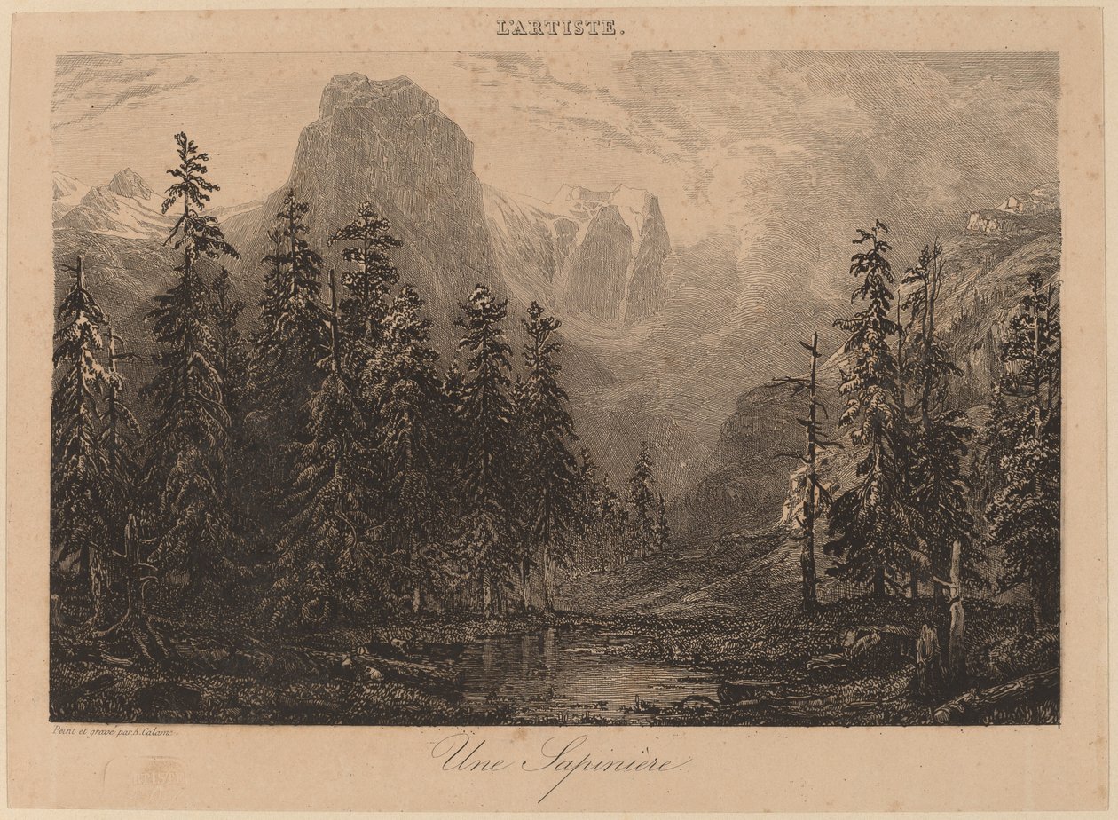 A Pine Forest by Alexandre Calame