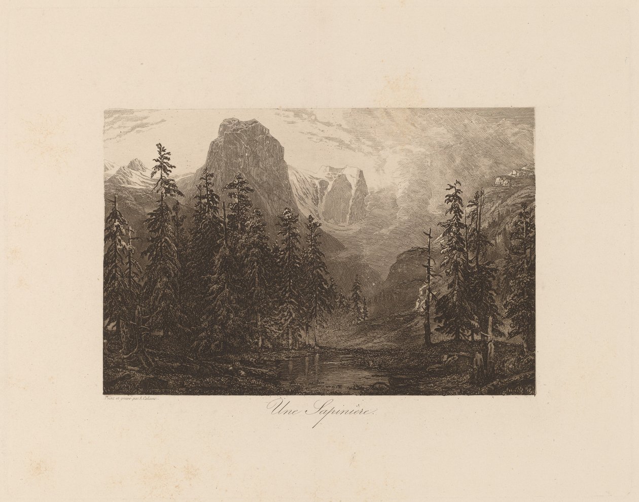 A Fir Plantation by Alexandre Calame