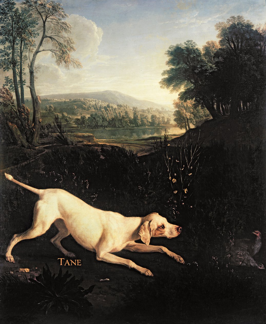 Louis XIV