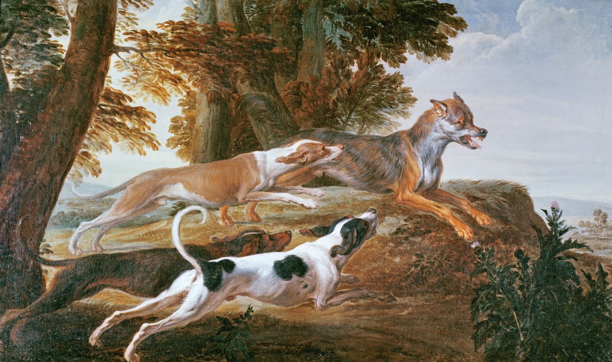 The Wolf Hunt, c.1720 by Alexandre Francois Desportes