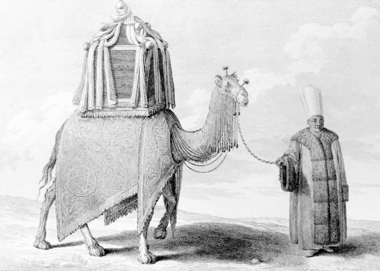 The Sacred Camel by Alexis Alexandre Perignon