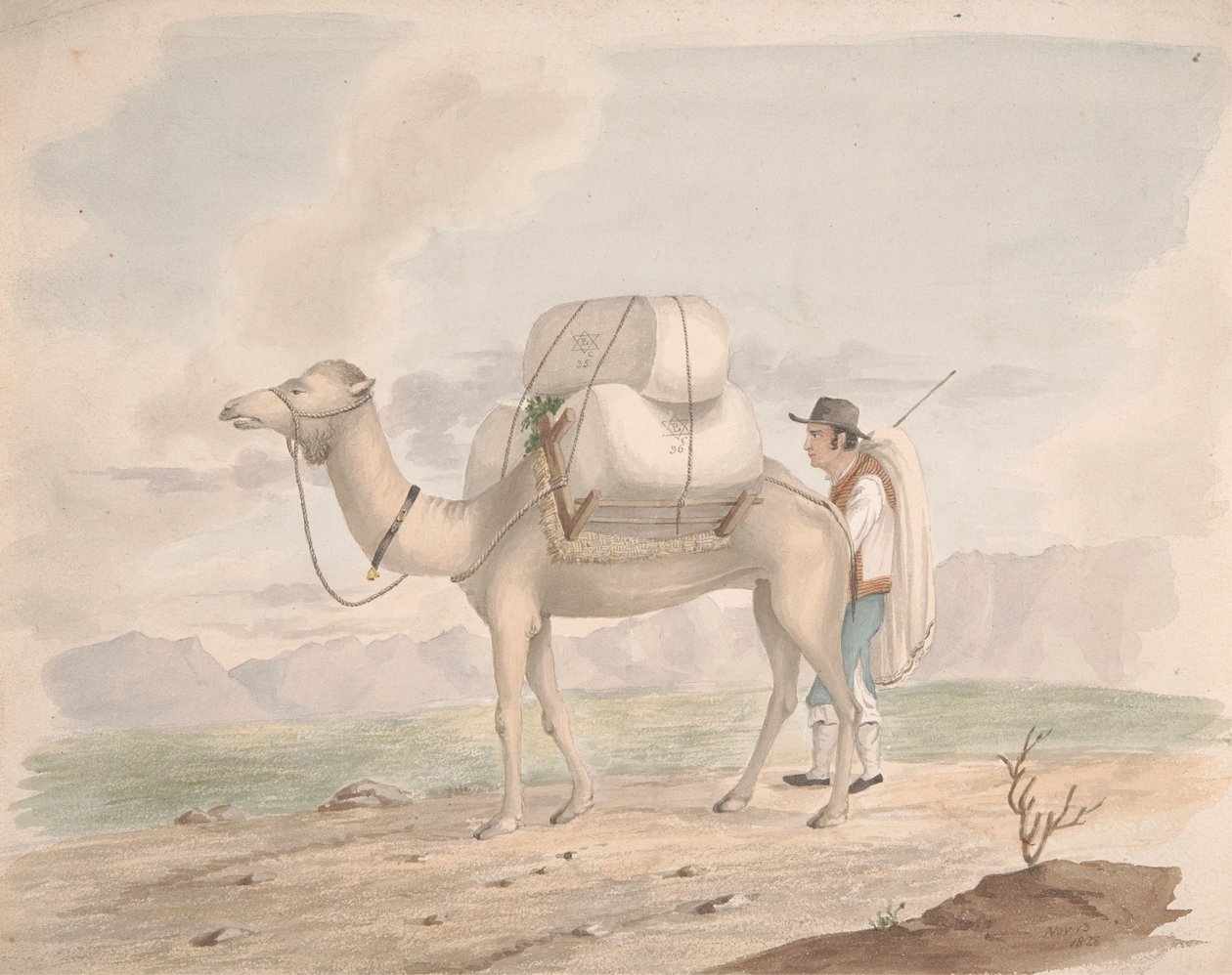 Loaded Camel by Alfred Diston
