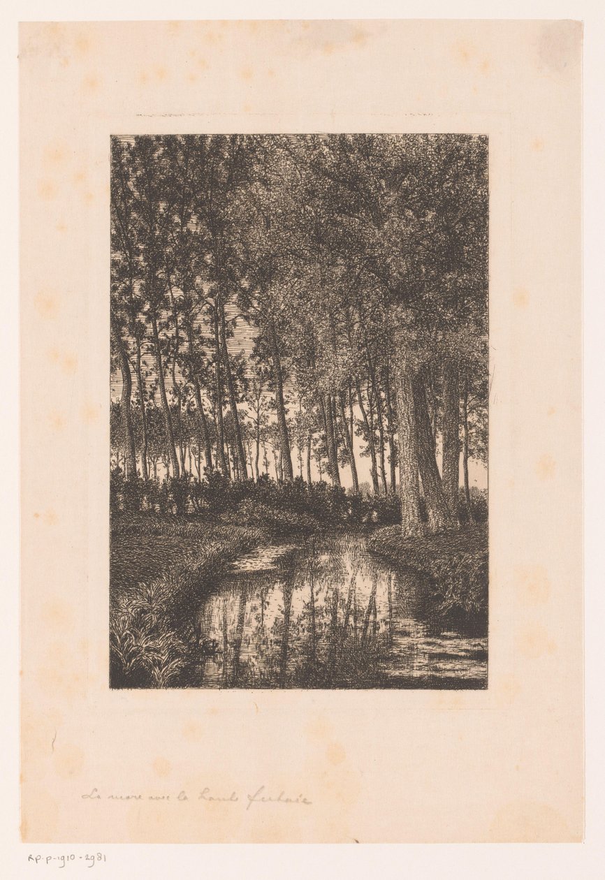 Tall Trees by the Water by Alfred Elsen