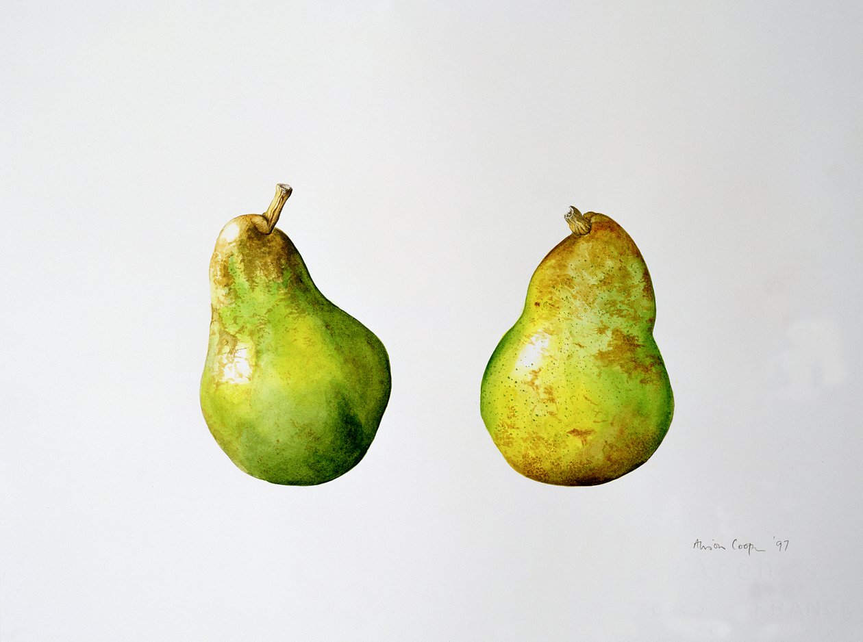 A Pair of Pears by Alison Cooper