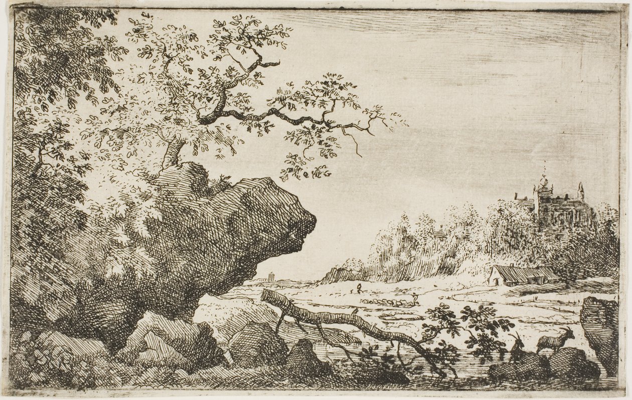Branch of a Tree by Allaert van Everdingen