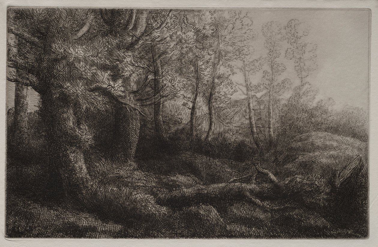 A Woodland Study by Alphonse Legros