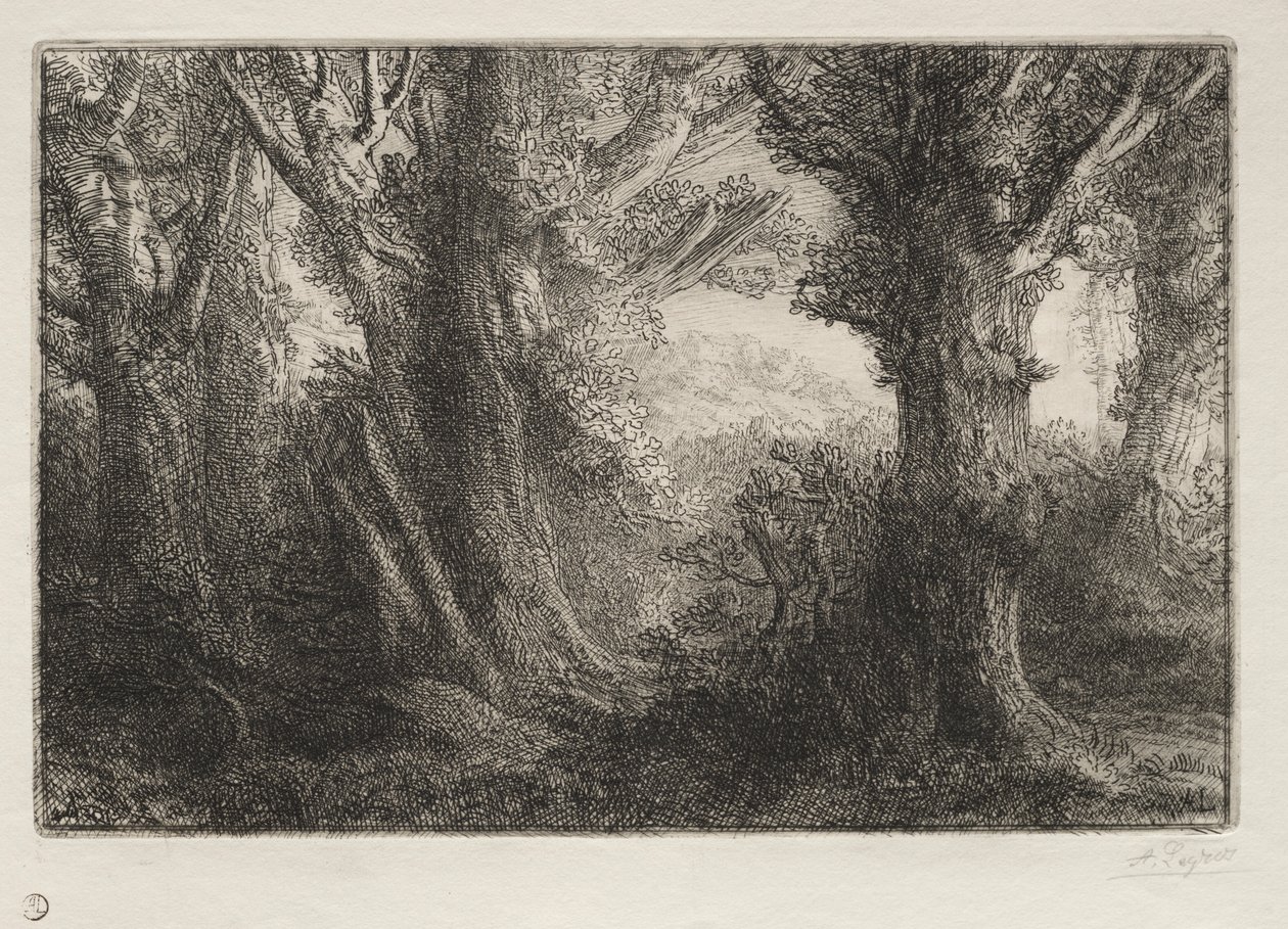 In the Forest at Conteville by Alphonse Legros