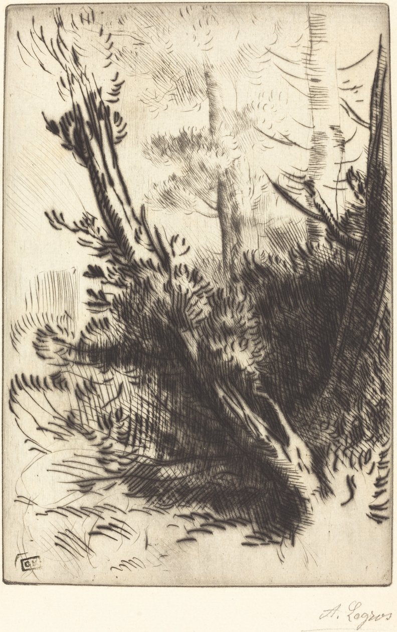 In the Woods by Alphonse Legros