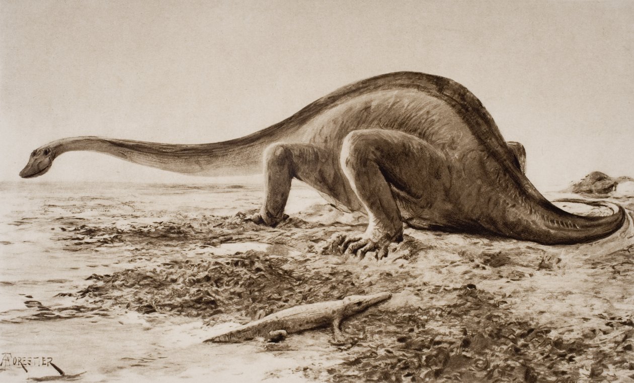 Brachiosaurus by Amedee Forestier