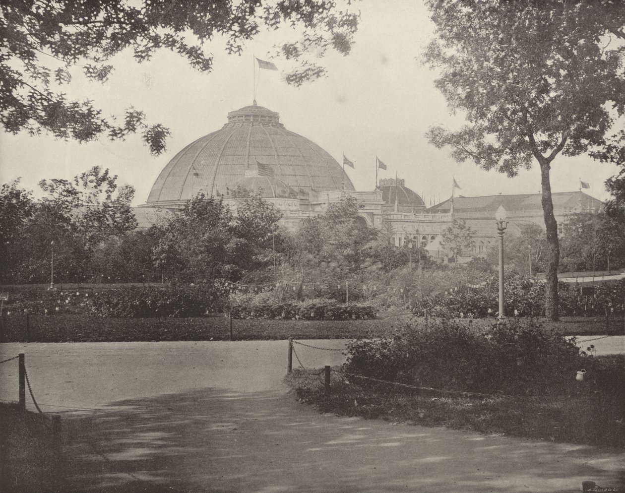 Centre of the Wooded Island by American Photographer