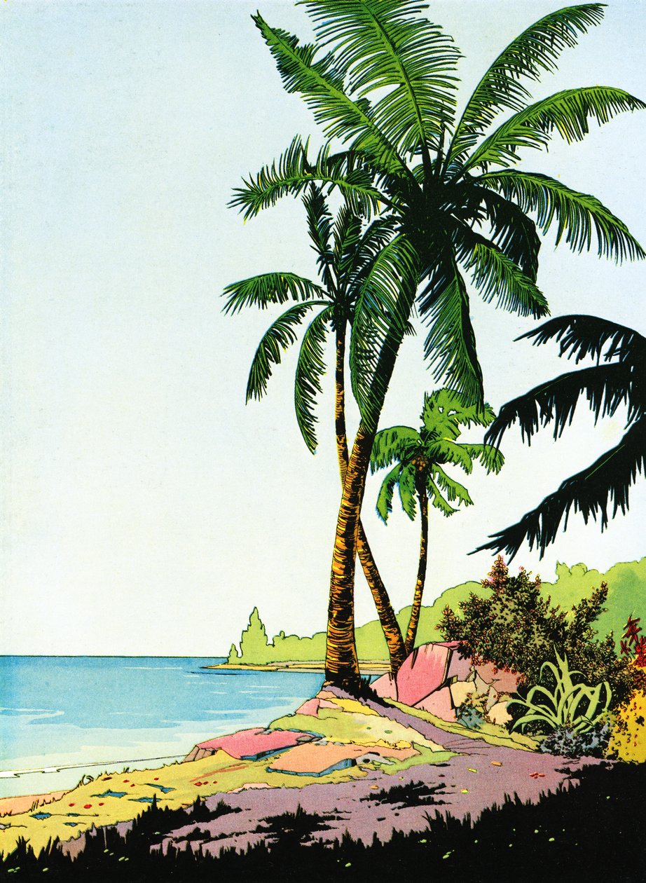 Illustration of Beach Paradise with Palm Trees by American School