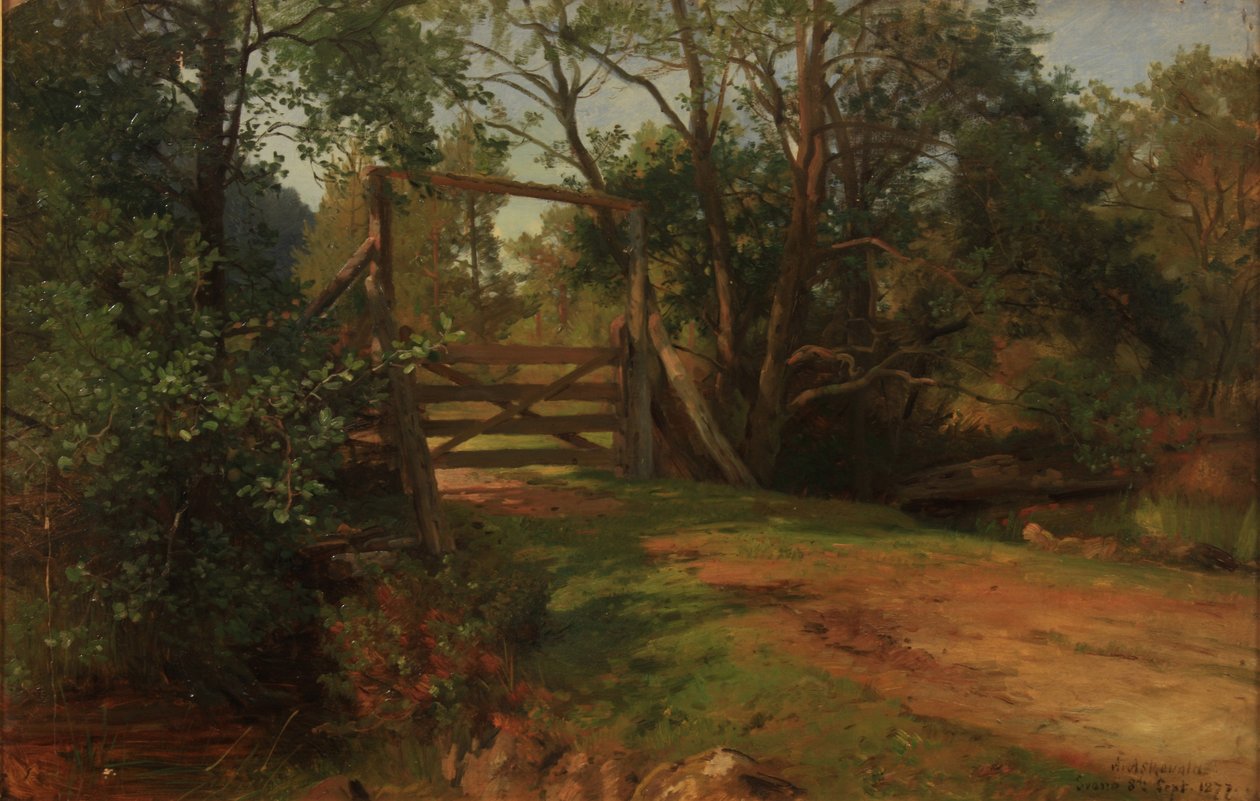 Forest Scene from Svanø in Sandefjord by Anders Askevold