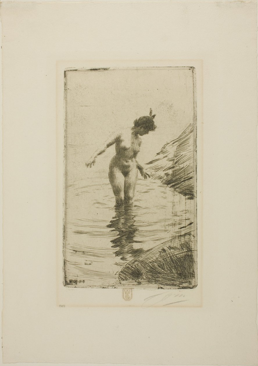 Water Circles II by Anders Zorn