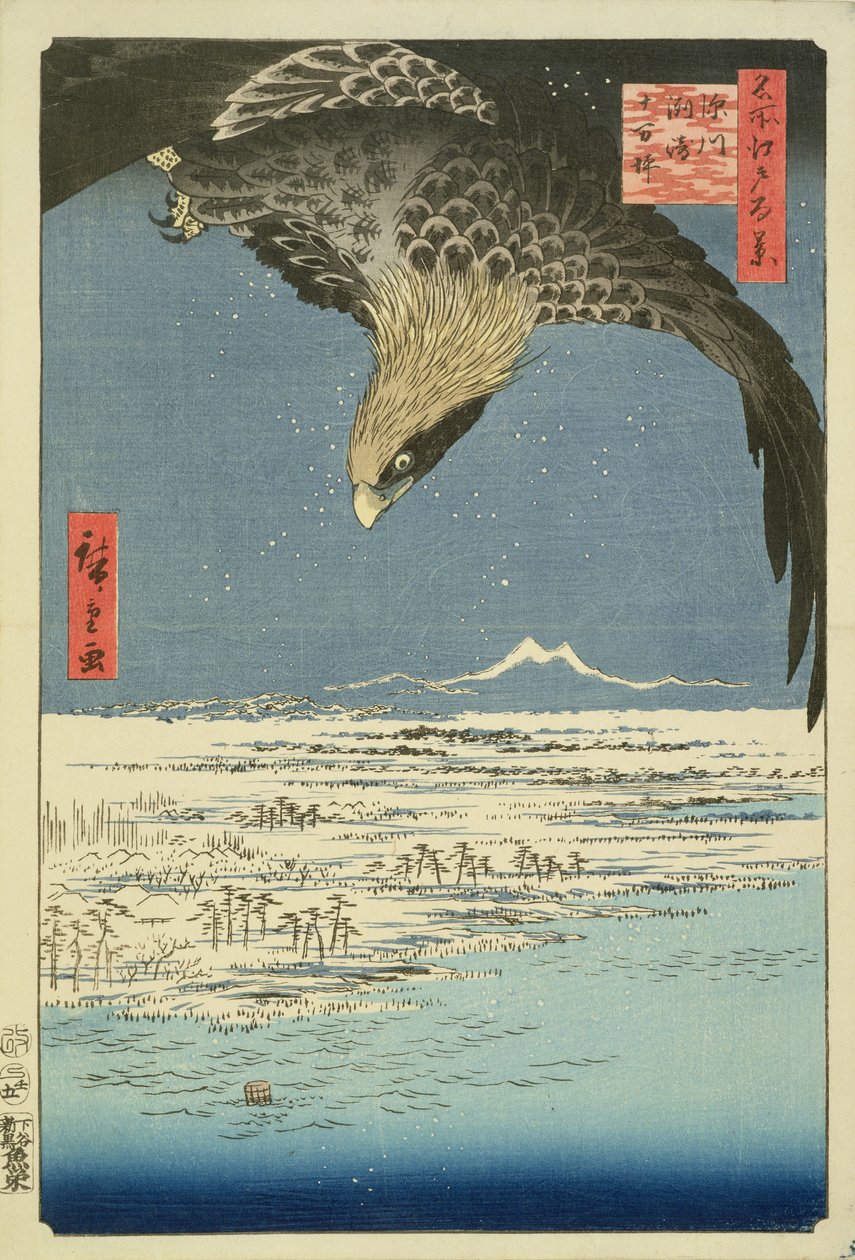 Eagle Over 100,000 Acre Plain at Susaki, Fukagawa (