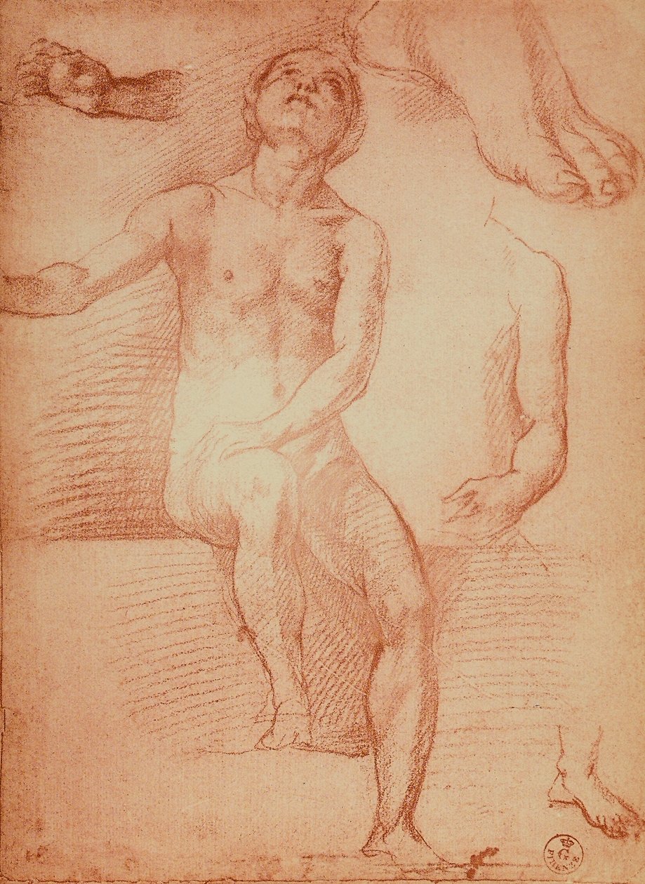 Study of a Nude Figure and Human Limbs by Andrea del Sarto