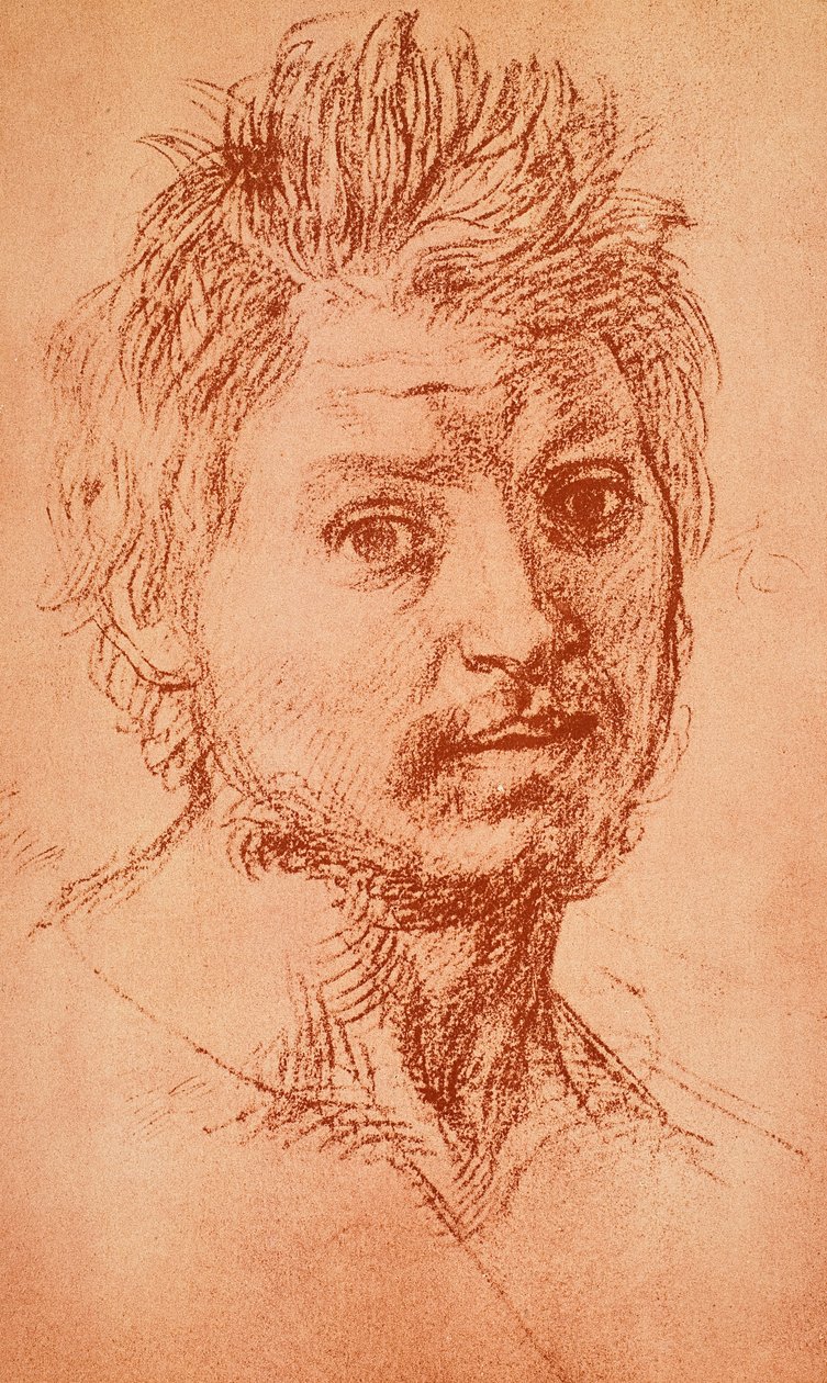 Virile Head by Andrea del Sarto