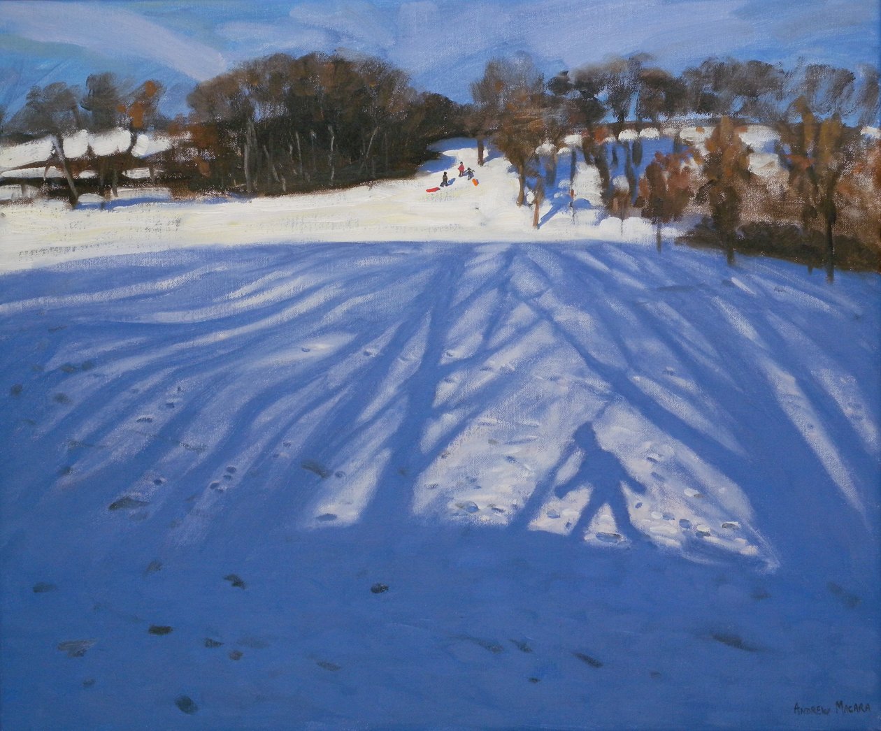 Shadow of Sledger by Andrew Macara