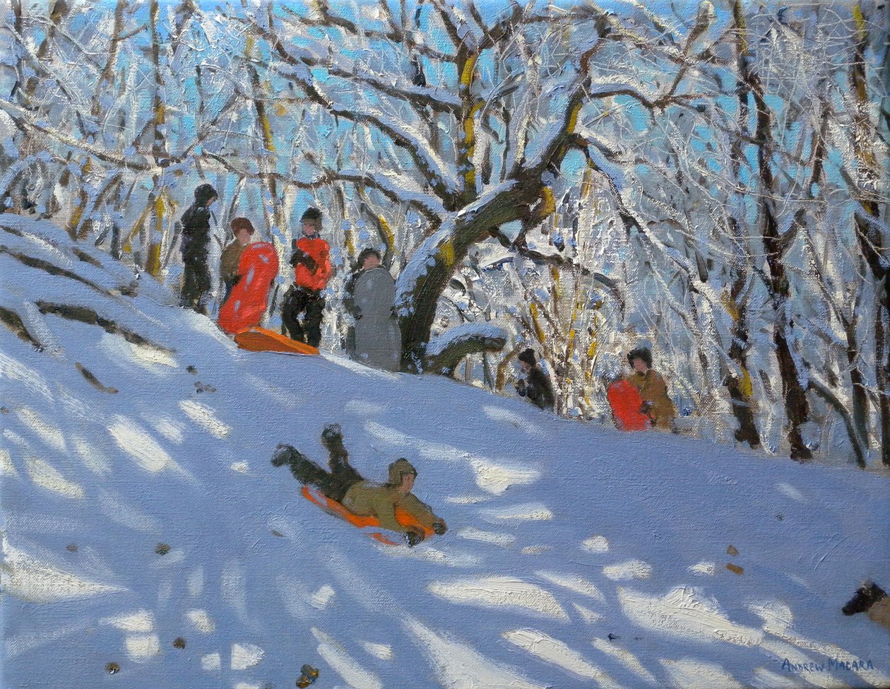 Sledging in Allestree Woods, 2011 by Andrew Macara