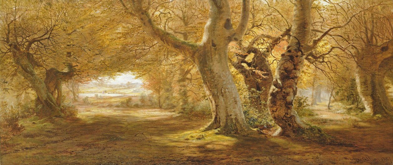 A Wooded Landscape, 1887 by Andrew McCallum