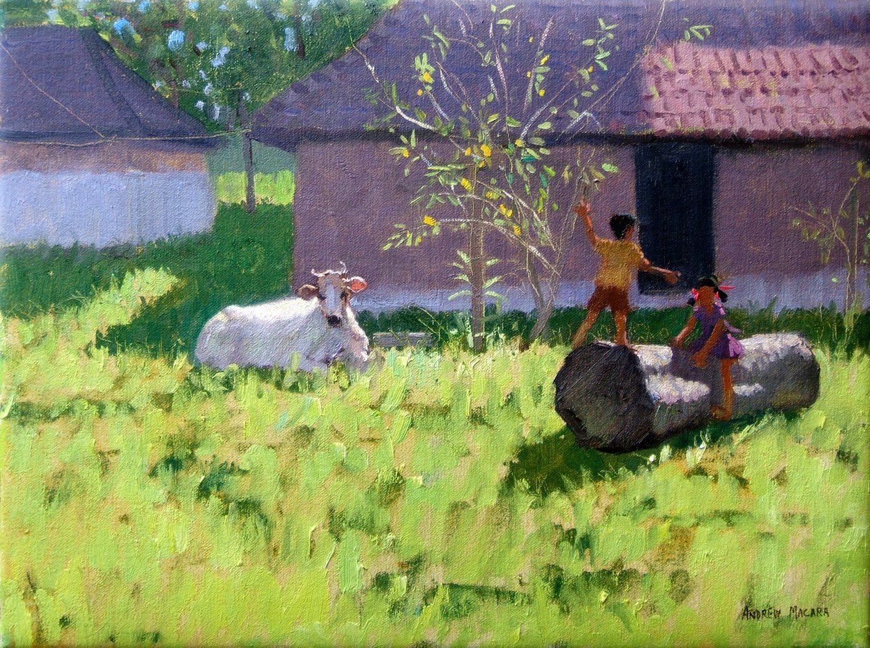 White Cow and Two Children, Mankotta Island, Kerala, India by Andrew Macara