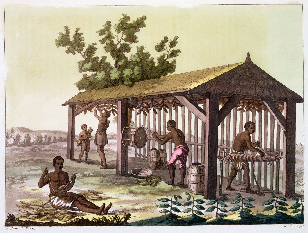 Slaves preparing tobacco, Virginia, USA by Angelo Biasioli