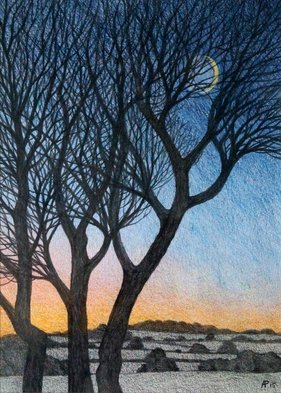 Trees and Moon, 2015 by Anna Phillips