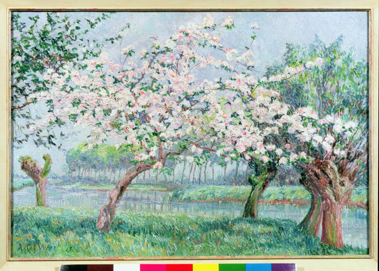 Apple Blossom on the River