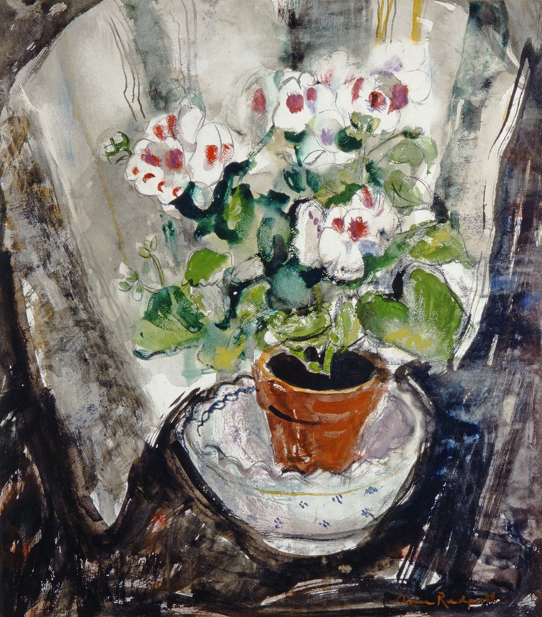 Pelargonium by Anne Redpath