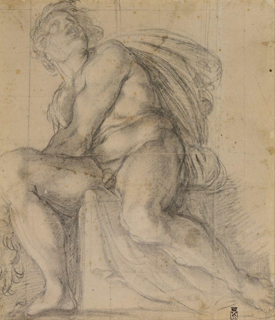 Study for an Ignudo by Annibale Carracci