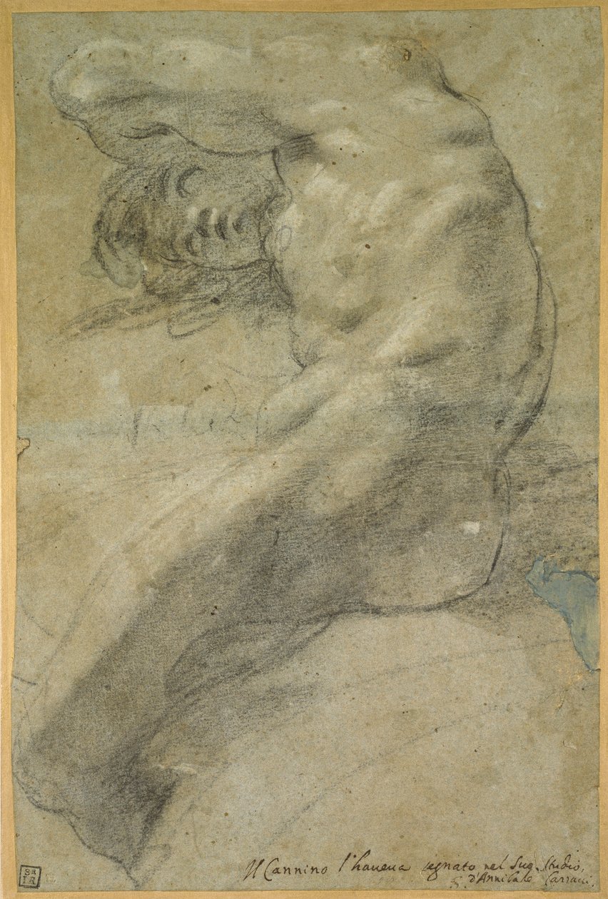 Study of a Nude Man by Annibale Carracci