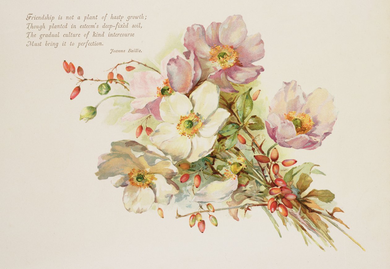 Friendship, Victorian, Book Illustration of Flowers by Unbekannt Unbekannt