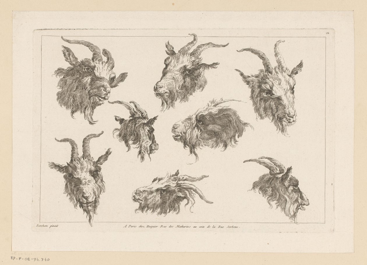 Eight Goat Heads by Anonymous