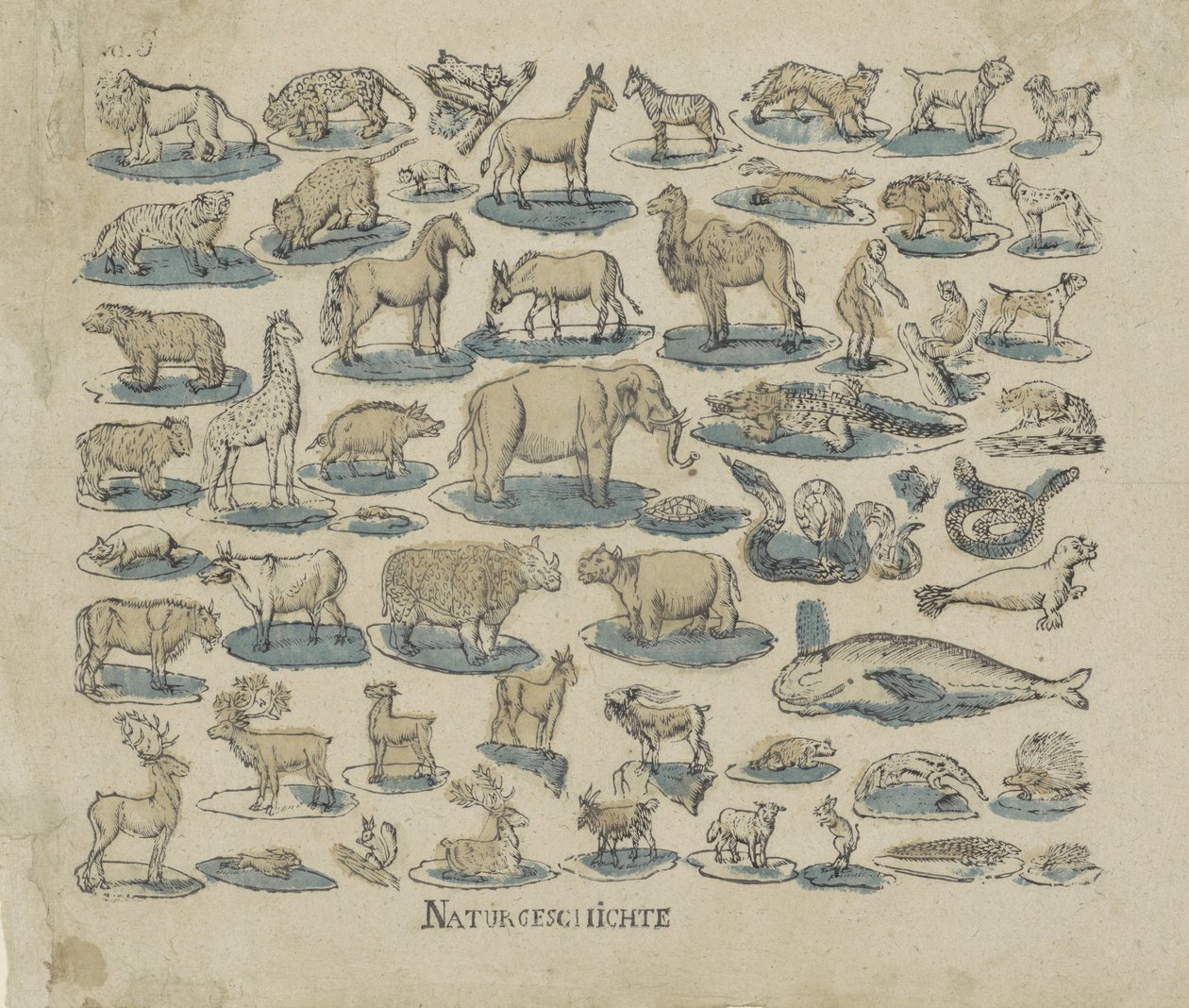 Animals (title on object: Natural History) by Anonymous