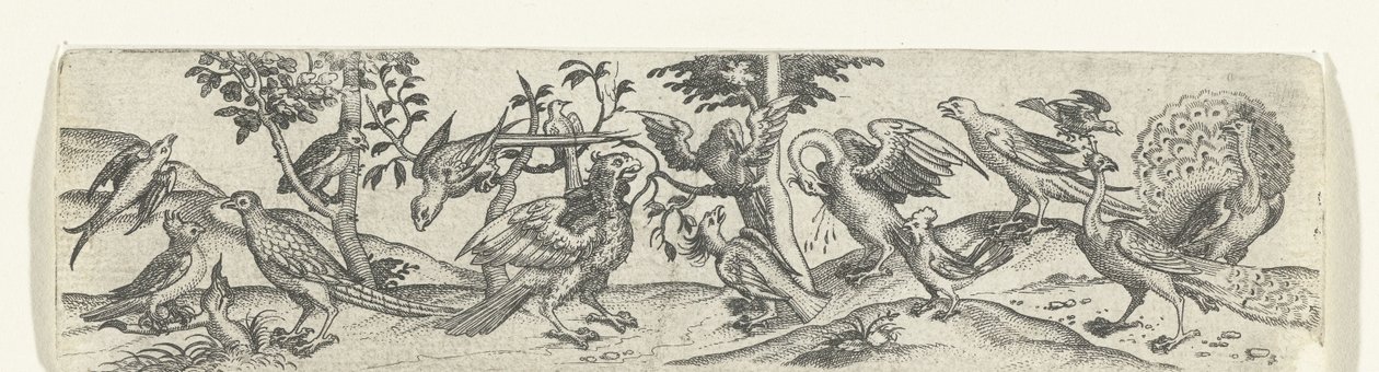 Frieze with Birds, Including Peacock and Pelican by Anonymous