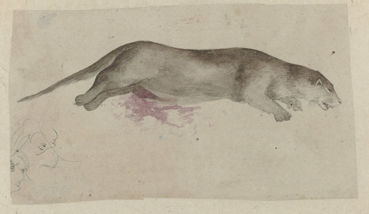 Dead Rodent by Anonymous