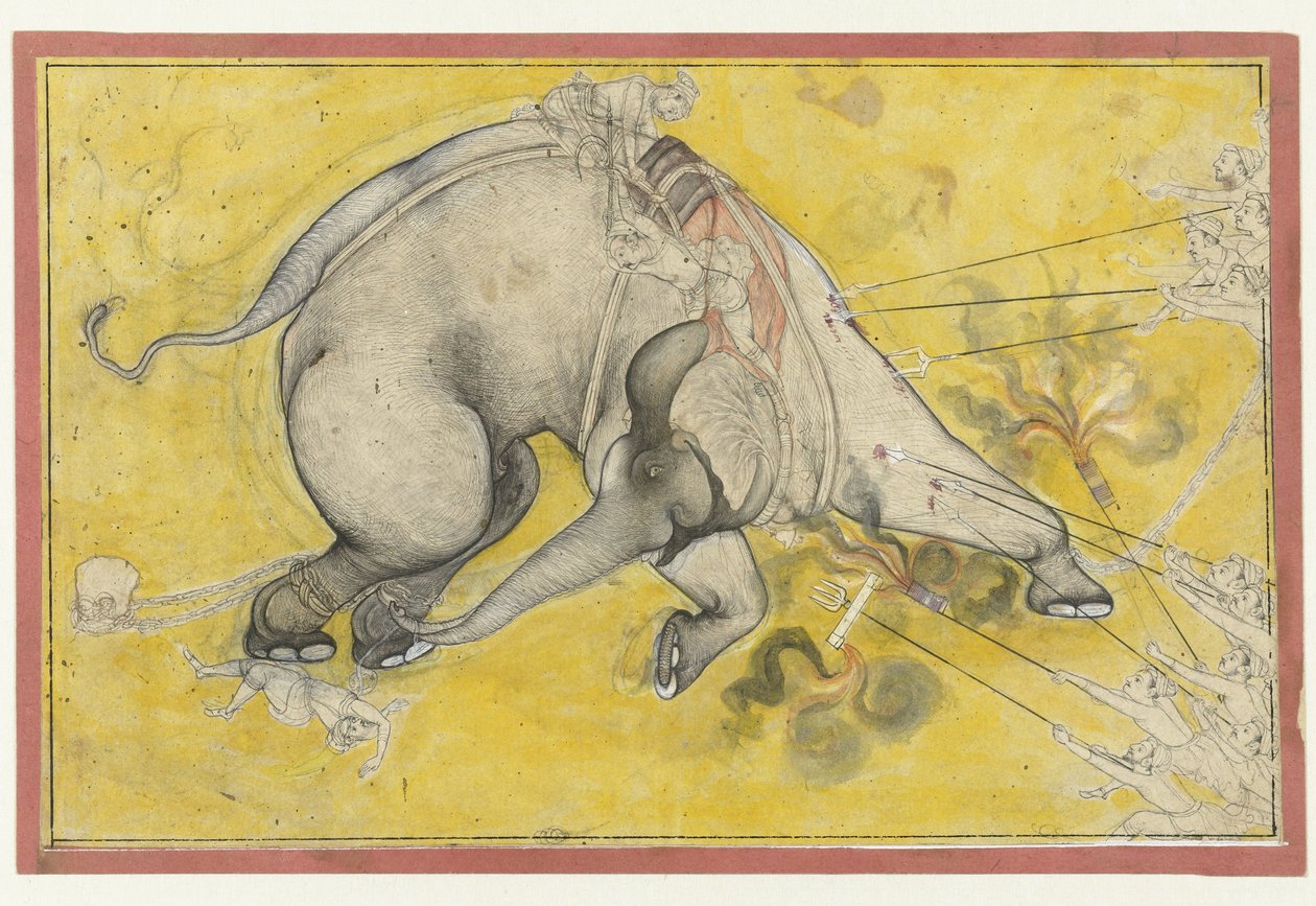 The Taming of the Wild Elephant by Anonymous