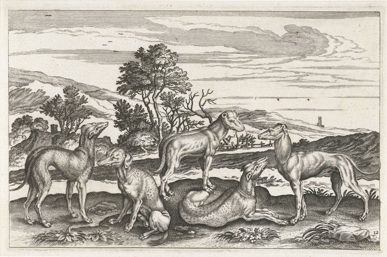 Hunting Dogs by Anonymous