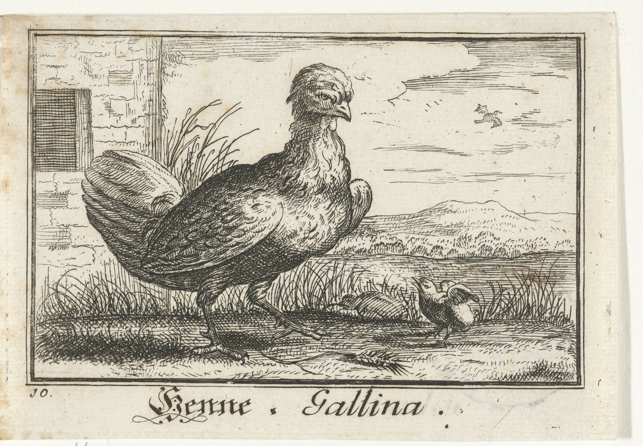 Hen with Chick by Anonymous