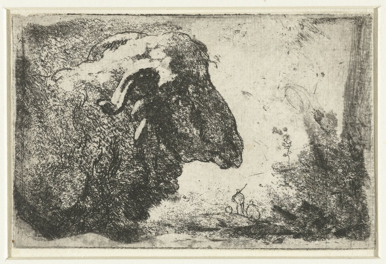 Head of a Ram by Anonymous