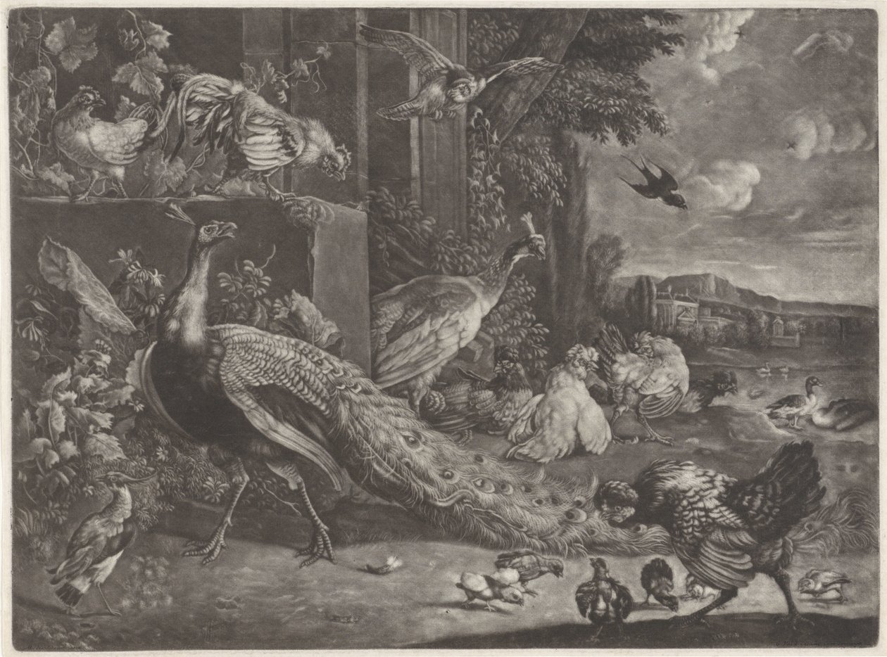 Landscape with Birds by Anonymous